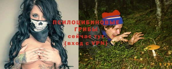 стафф Абаза
