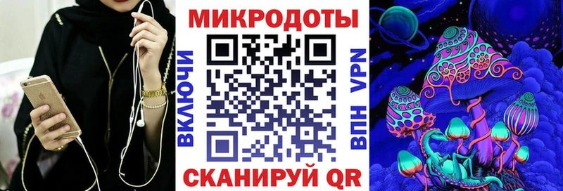 Галлюциногенные грибы Psilocybe  как найти наркотики  Зубцов 